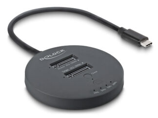 DELOCK docking station για M.2 NVMe PCIe SSD 64364, 2 θέσεων, 20Gbps, clone function, μαύρο